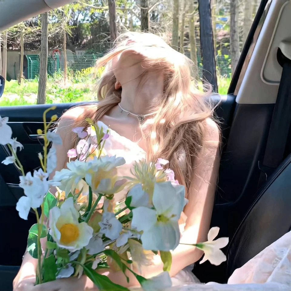 bdbbd (bxbbdbdhddh.lens) Lens social identity (.lens handle) PFP