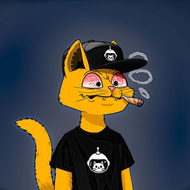 Asinas (bilala.lens) Lens social identity (.lens handle) PFP