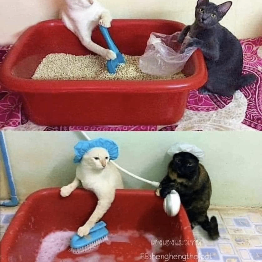 Rattatui (rattatui.lens) Lens social identity (.lens handle) PFP