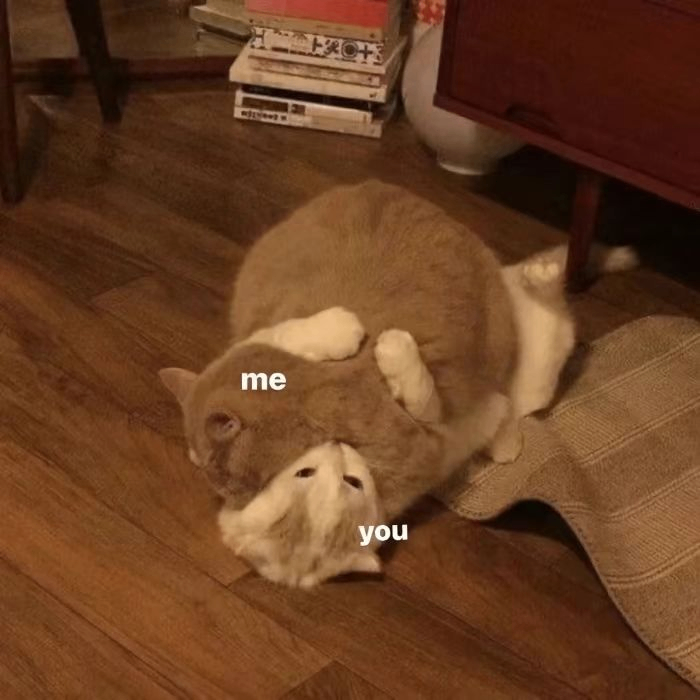 augustine aleesa (xxxxczcz.lens) Lens social identity (.lens handle) PFP