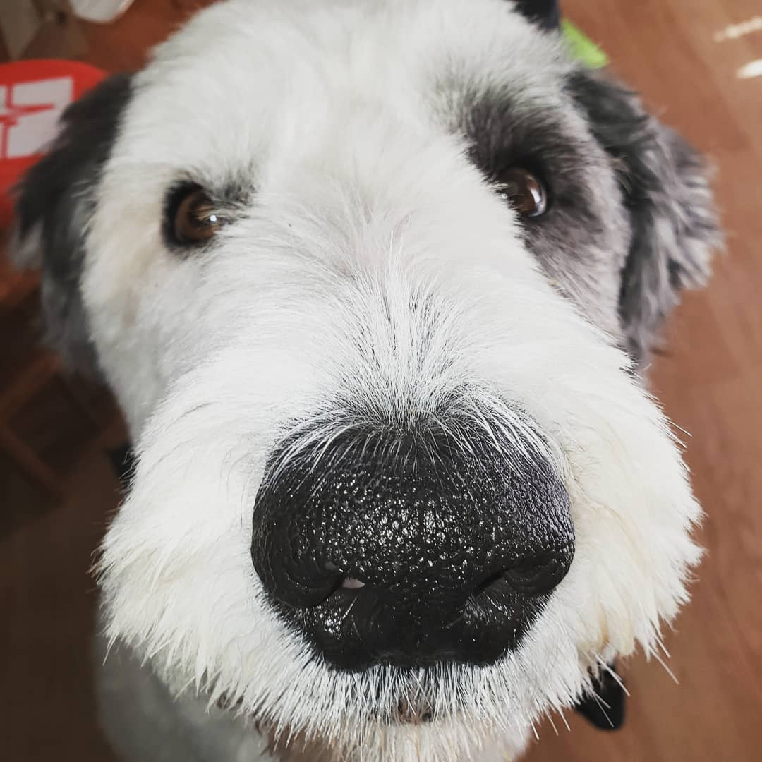 ewyupolayuwlofnid (ewyupolayuwlofnid.lens) Lens social identity (.lens handle) PFP