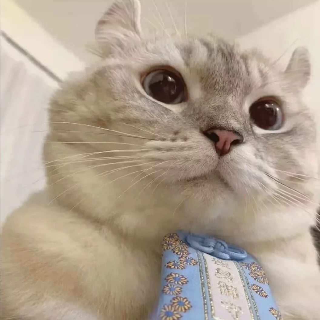 Ron Halifax (fffffc.lens) Lens social identity (.lens handle) PFP