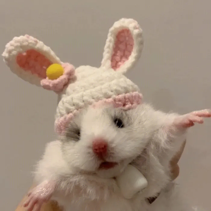 Oscar Kitty (ssscc.lens) Lens social identity (.lens handle) PFP