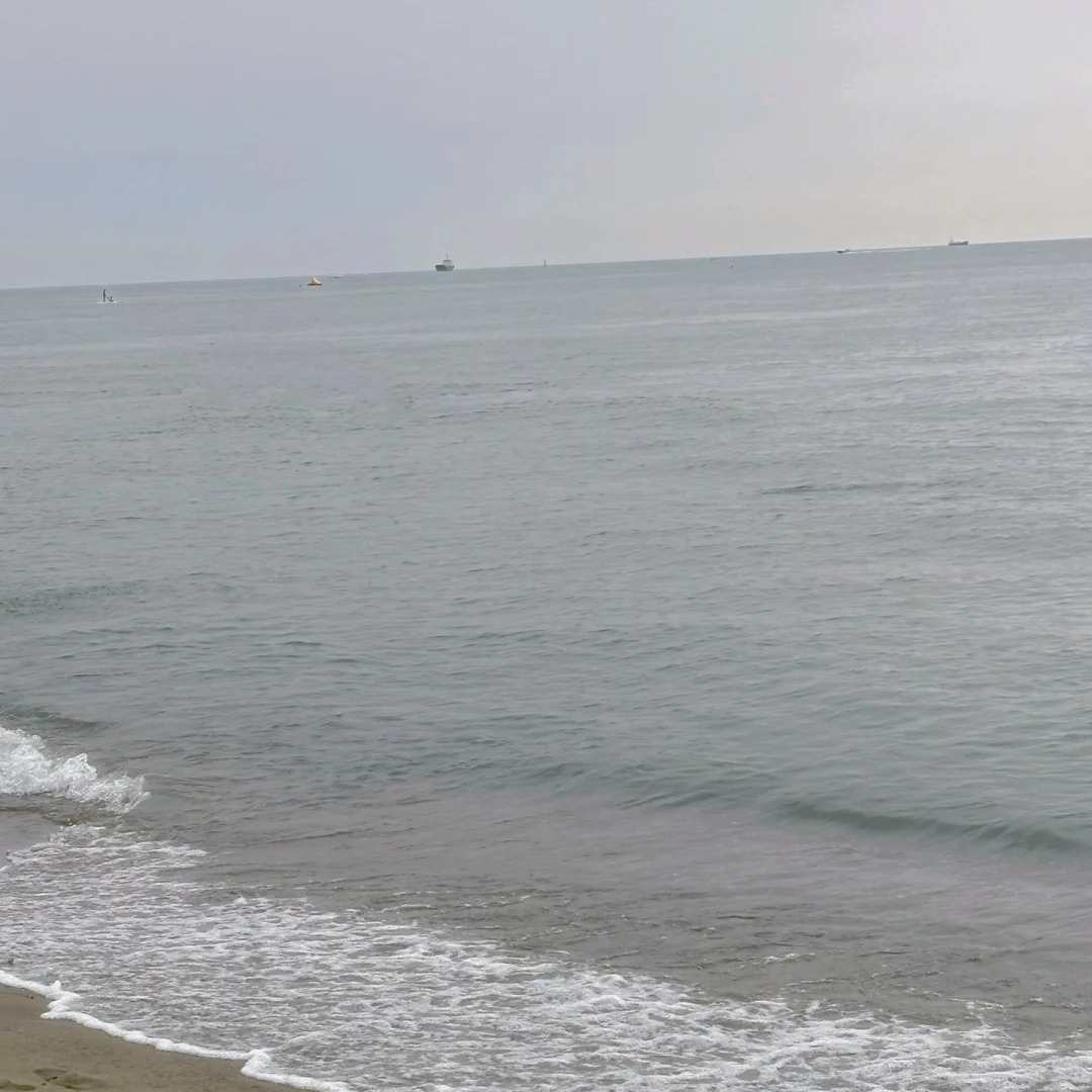 Annabellee (annabe11e.lens) Lens social identity (.lens handle) PFP