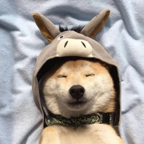 Joan Agnes (pppvv.lens) Lens social identity (.lens handle) PFP