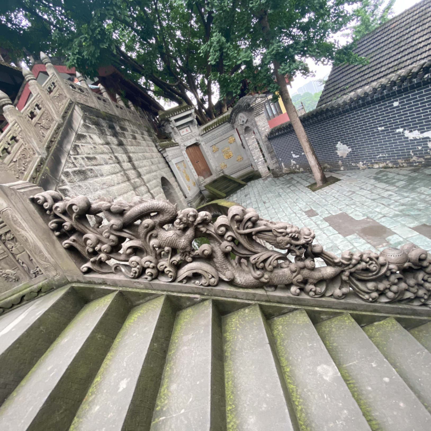 cfjfd (gf67byuy5yuuiyy.lens) Lens social identity (.lens handle) PFP