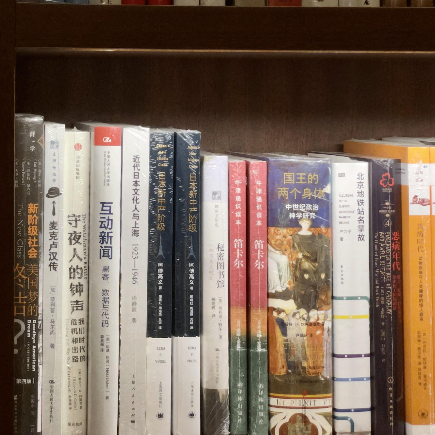 liamhitam (jjjjahwhwuw.lens) Lens social identity (.lens handle) PFP