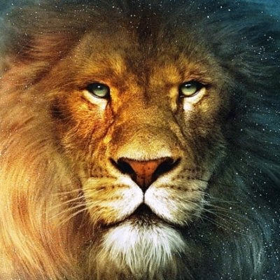 Leo (drunkleo.lens) Lens social identity (.lens handle) PFP