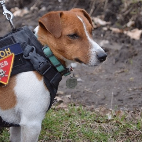 jordan44 (jordan44.lens) Lens social identity (.lens handle) PFP