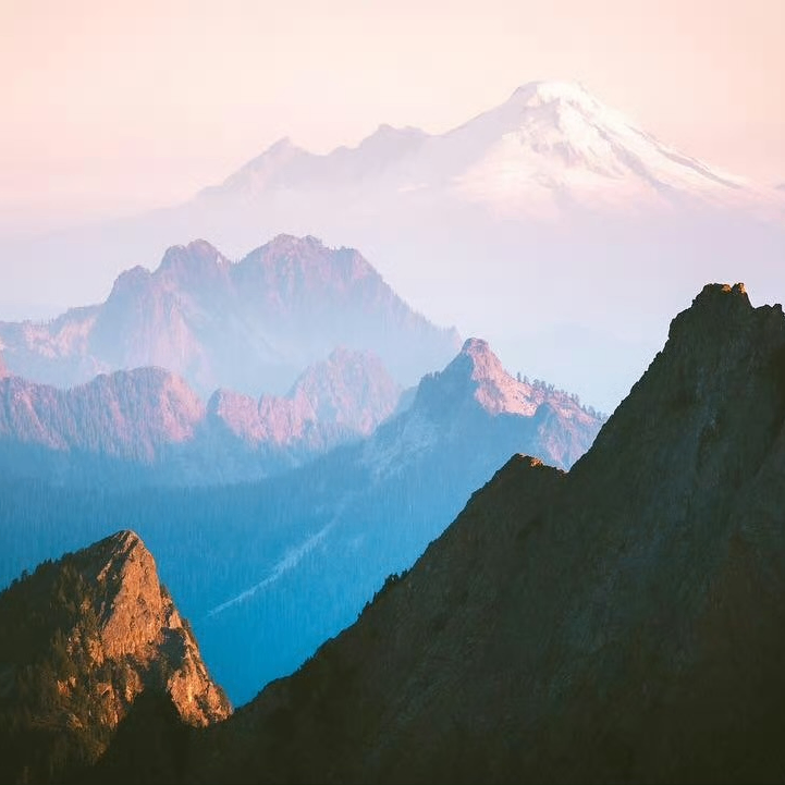 William Thompson (salade.lens) Lens social identity (.lens handle) PFP