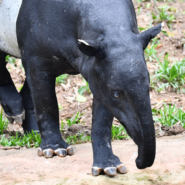 sssdddd (lnnnn.lens) Lens social identity (.lens handle) PFP