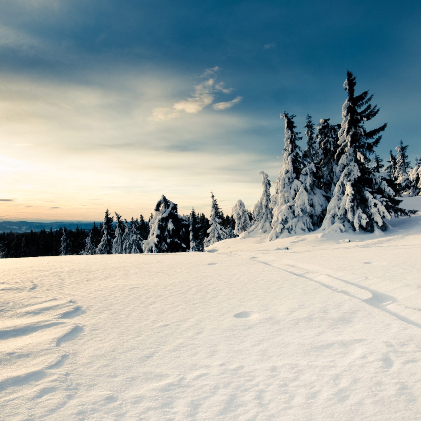 FDH (novaxy.lens) Lens social identity (.lens handle) PFP