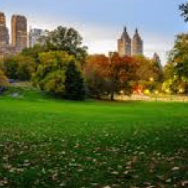 wewqe (wbbbb.lens) Lens social identity (.lens handle) PFP