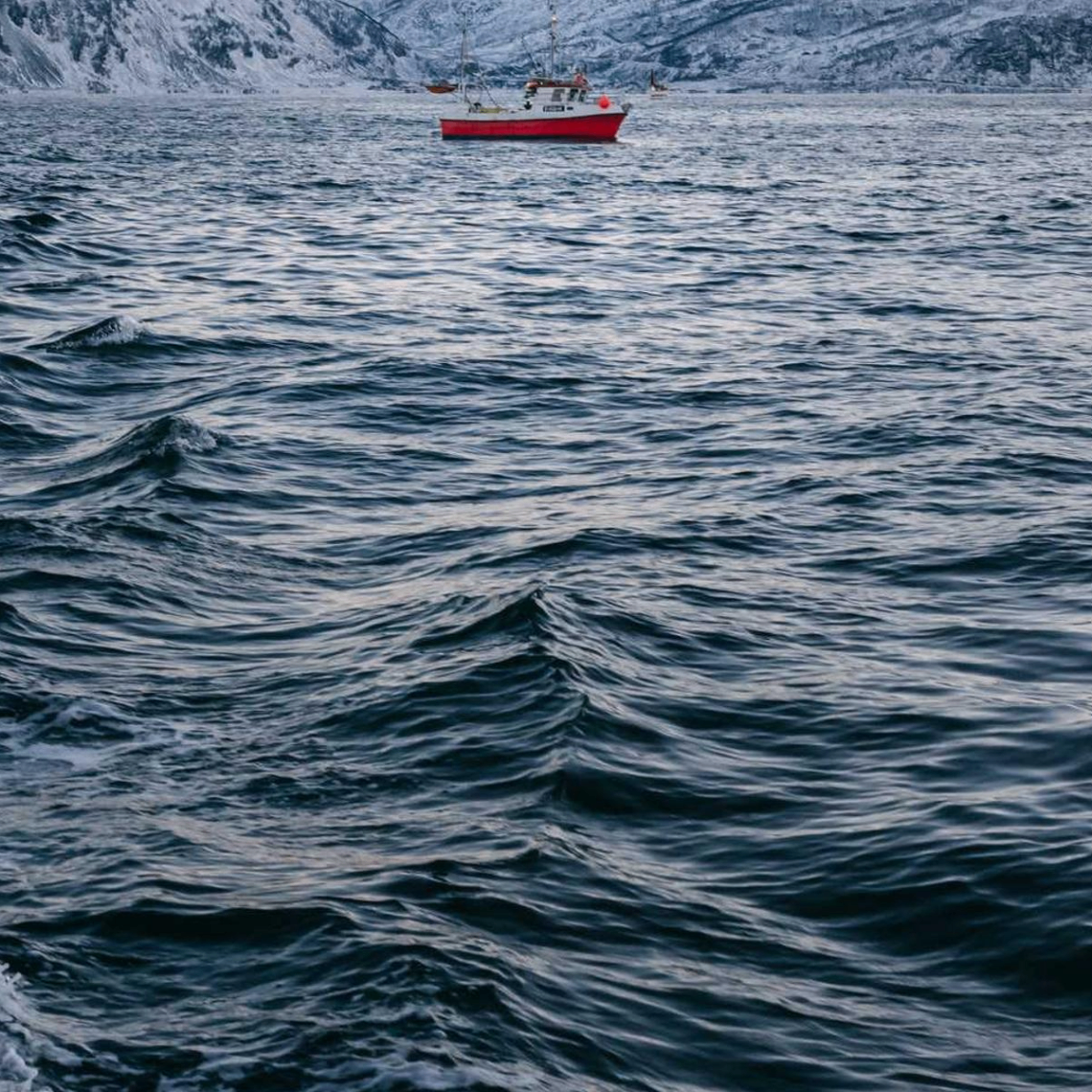 enduranceEnthusiast (dennyfi81907251.lens) Lens social identity (.lens handle) PFP