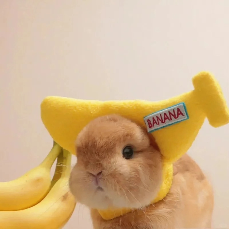 graniela (musk01.lens) Lens social identity (.lens handle) PFP