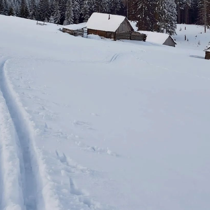 vjcucucufgu (iffiuyddy.lens) Lens social identity (.lens handle) PFP