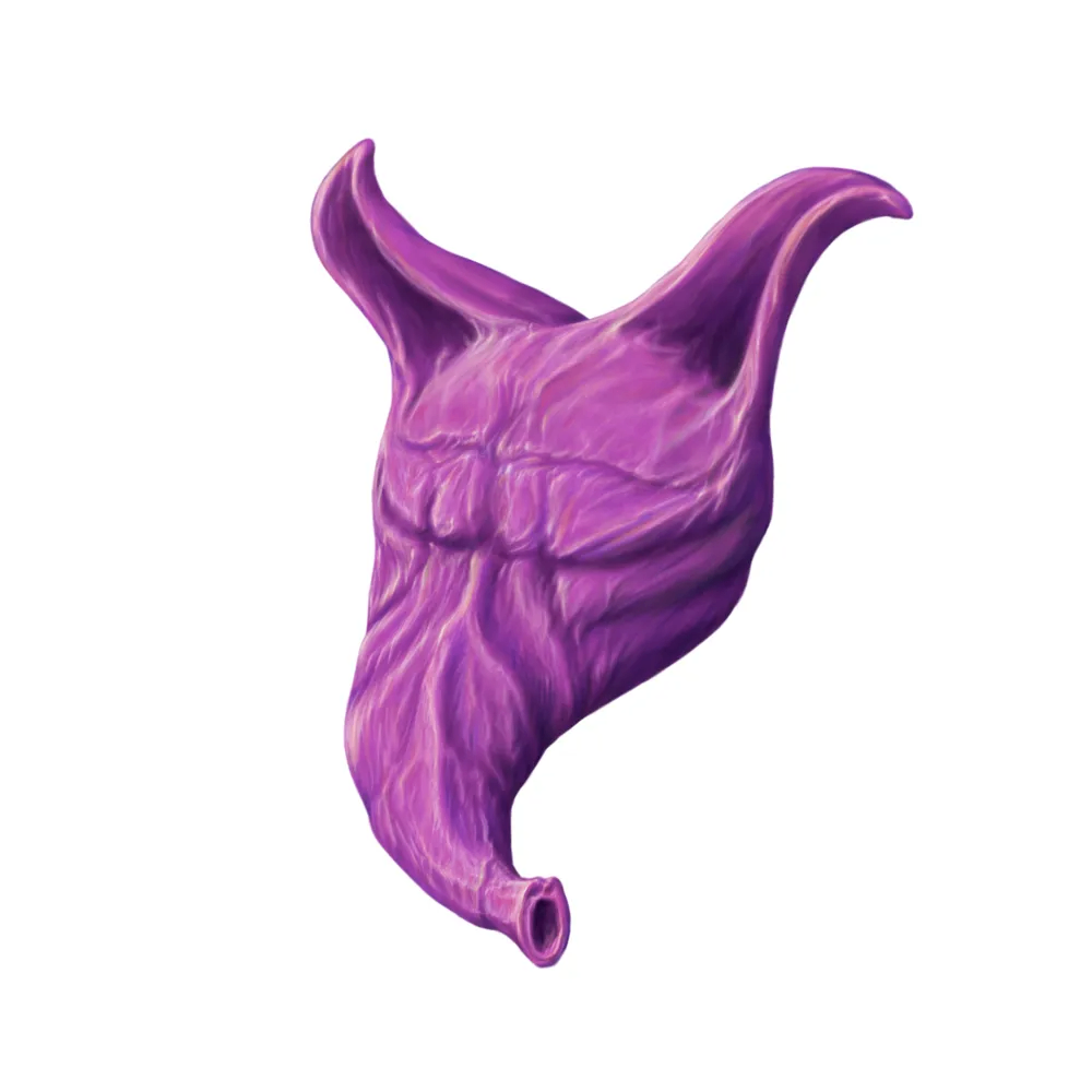 VividVulture (otoier.lens) Lens social identity (.lens handle) PFP