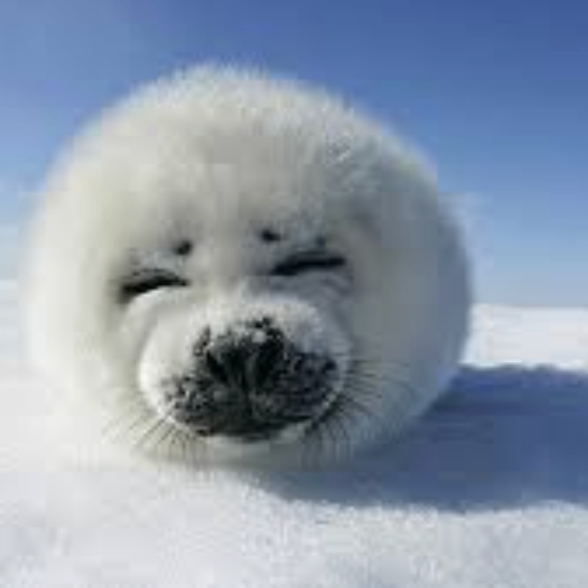 okiu (bbbyb.lens) Lens social identity (.lens handle) PFP