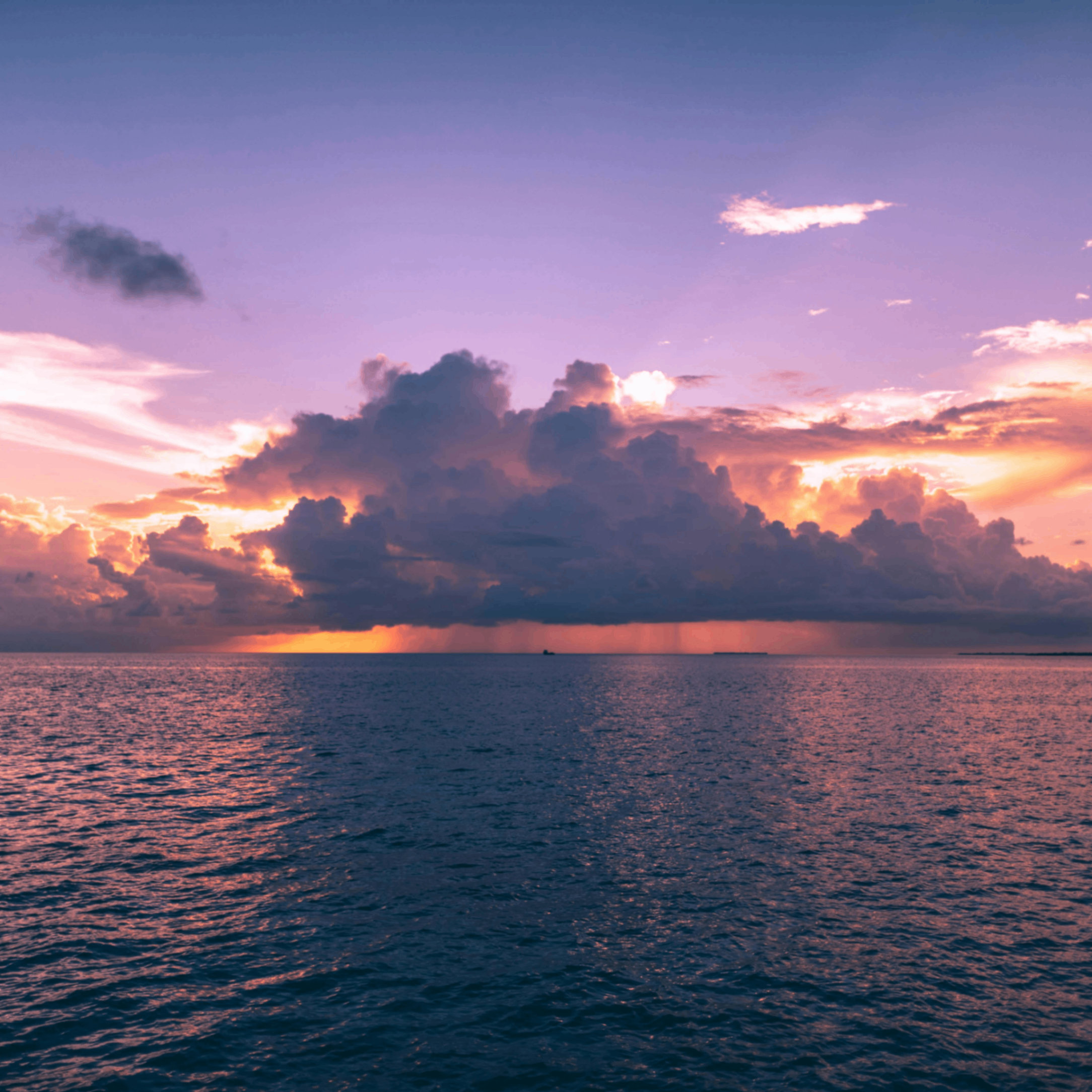 impersonal (impersonal.lens) Lens social identity (.lens handle) PFP