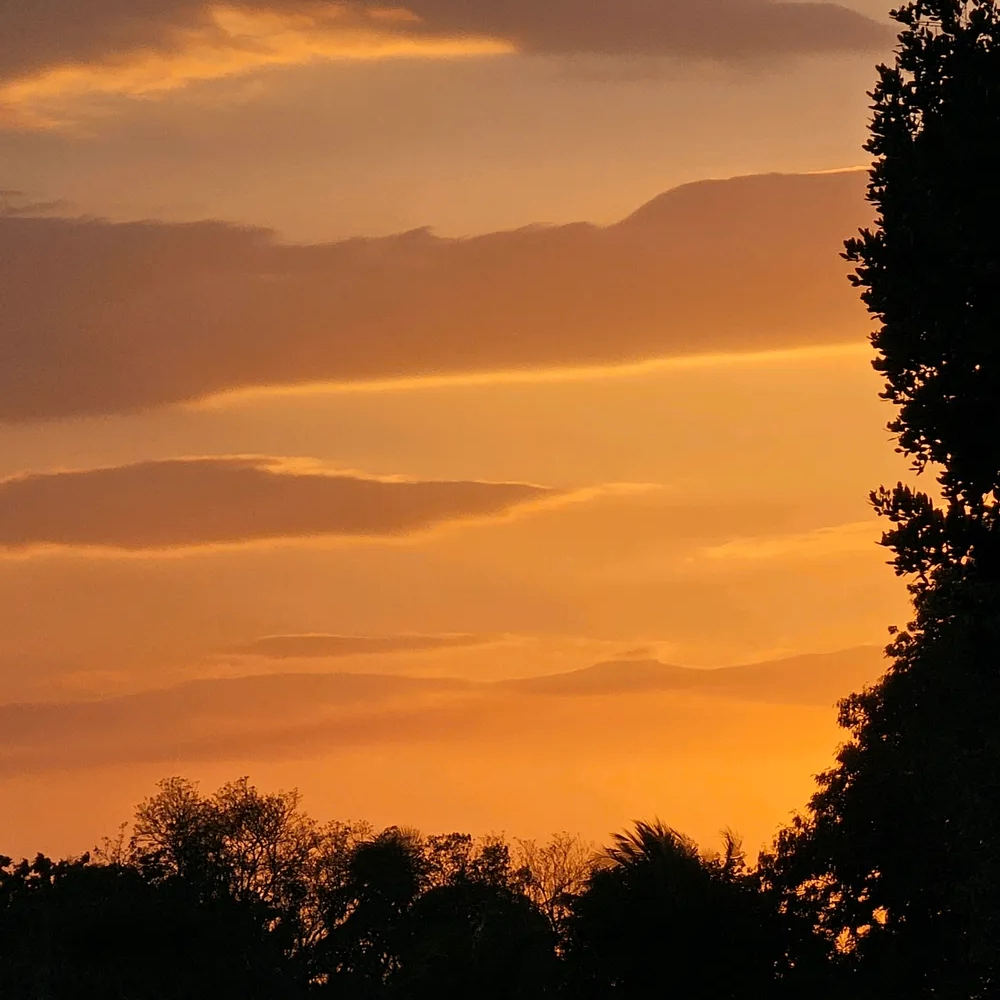 fino (finoo.lens) Lens social identity (.lens handle) PFP