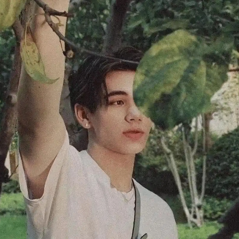 Felix Effie (dggnj45632.lens) Lens social identity (.lens handle) PFP