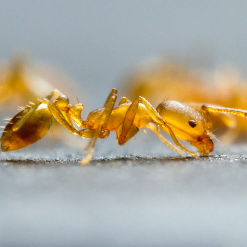 loading (loading79.lens) Lens social identity (.lens handle) PFP