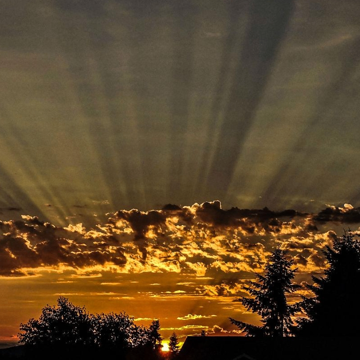 Sidney Tony (yykkk.lens) Lens social identity (.lens handle) PFP