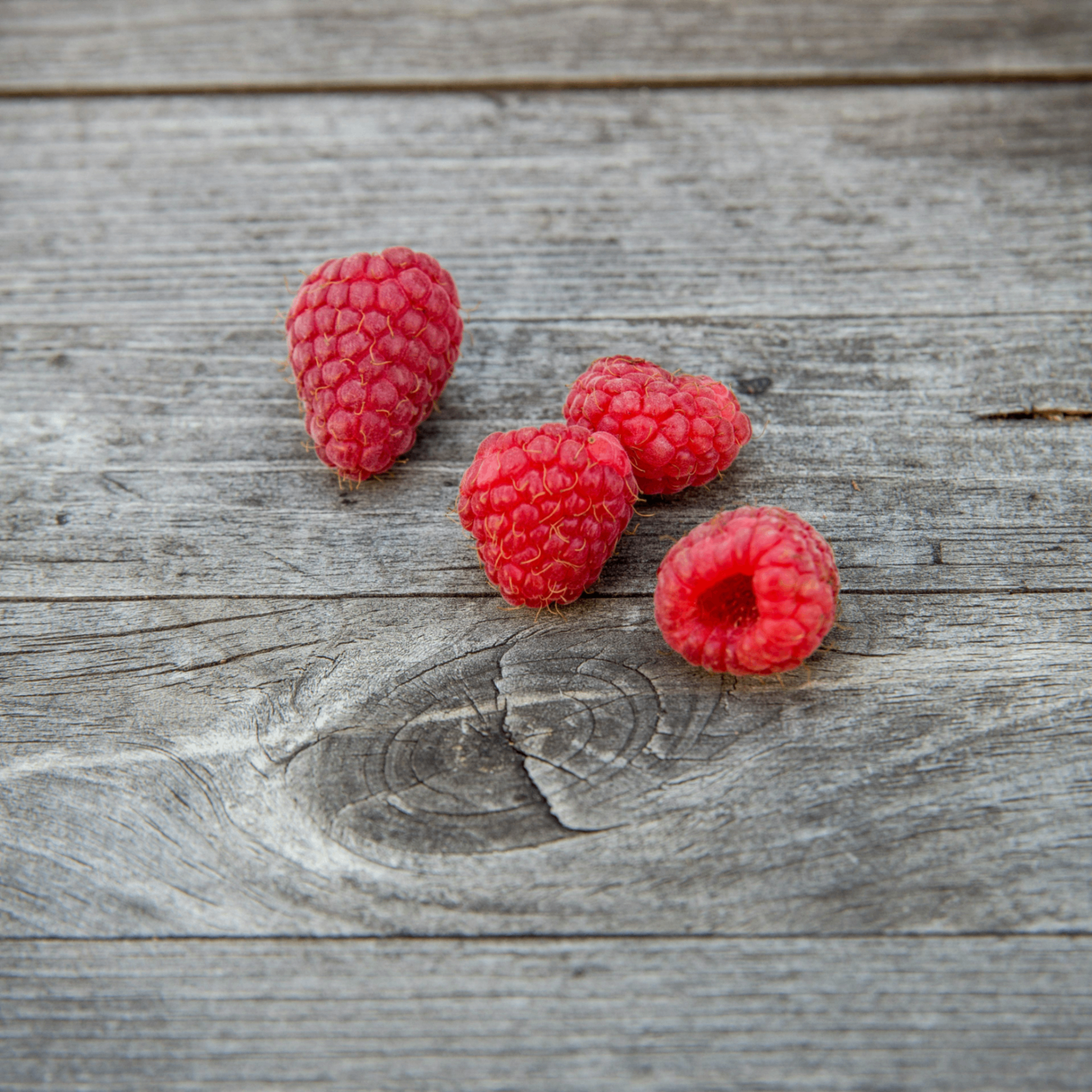 shage (shage.lens) Lens social identity (.lens handle) PFP