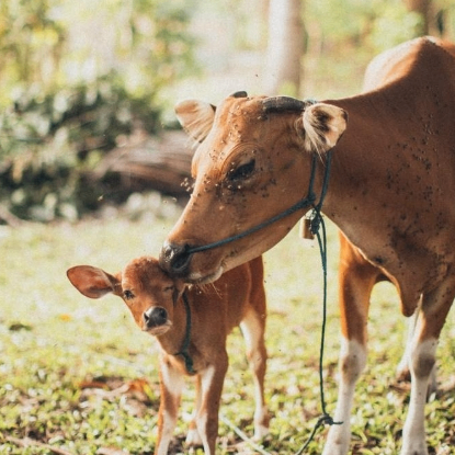 Ryan Austin (nnnxxx.lens) Lens social identity (.lens handle) PFP