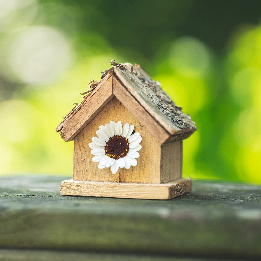 UGoal (ultimategoal.lens) Lens social identity (.lens handle) PFP