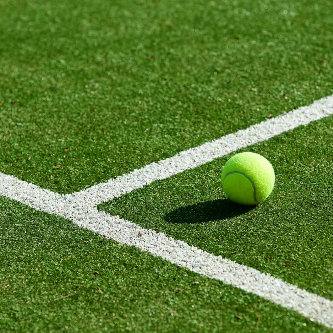 Boris (borisp.lens) Lens social identity (.lens handle) PFP