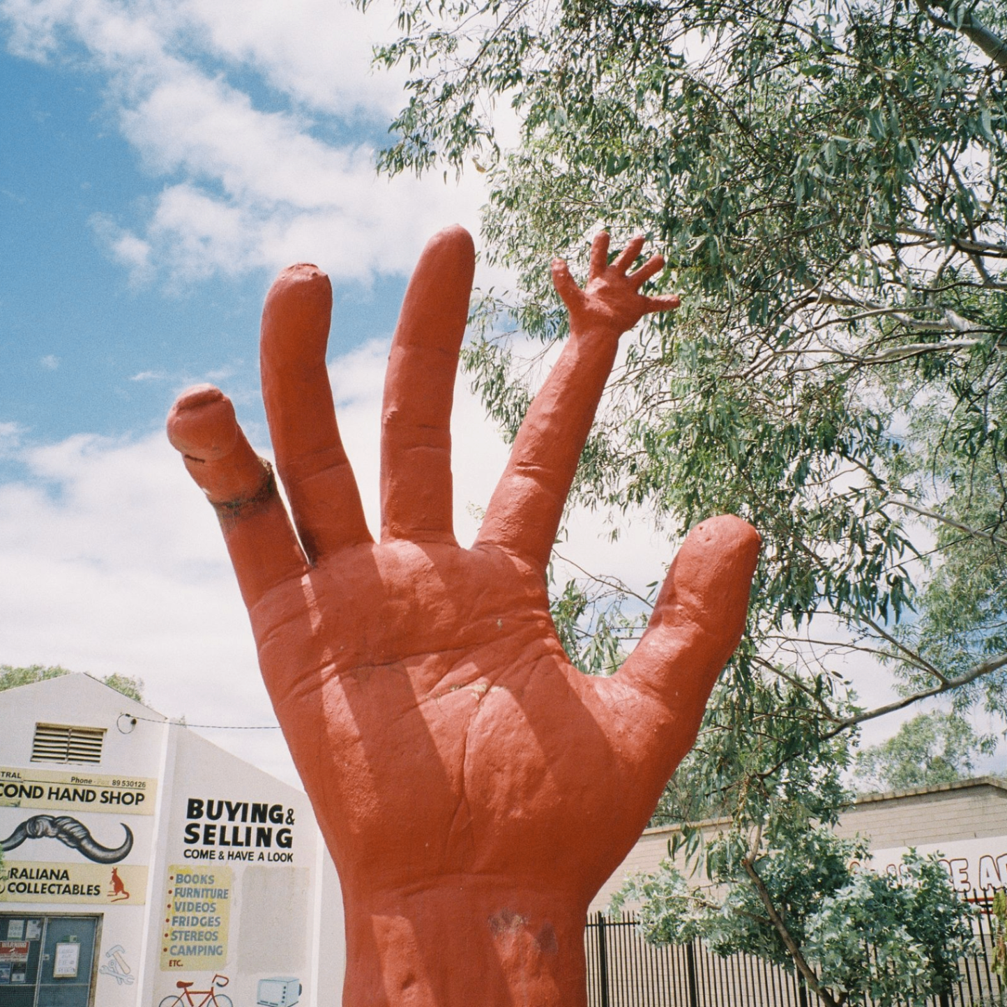 Lira (liramiea.lens) Lens social identity (.lens handle) PFP