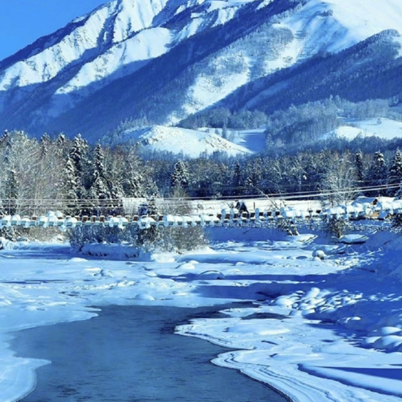 vcxbfd (hgfg4f.lens) Lens social identity (.lens handle) PFP