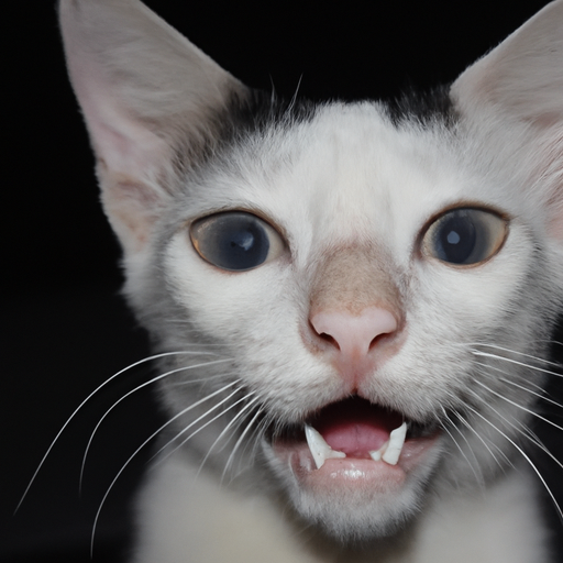 MintyFresh (minterest.lens) Lens social identity (.lens handle) PFP