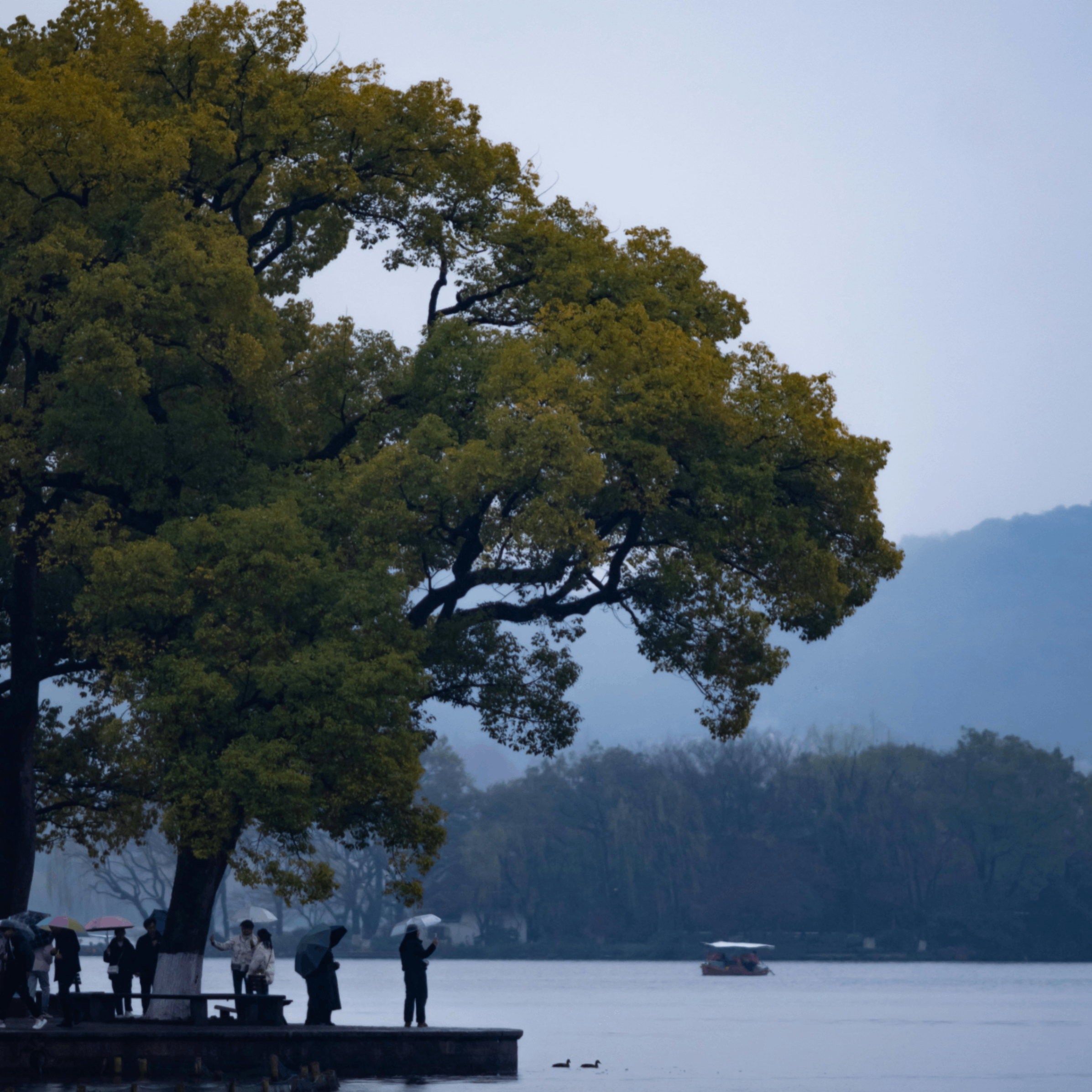 yeyee (yeyee.lens) Lens social identity (.lens handle) PFP