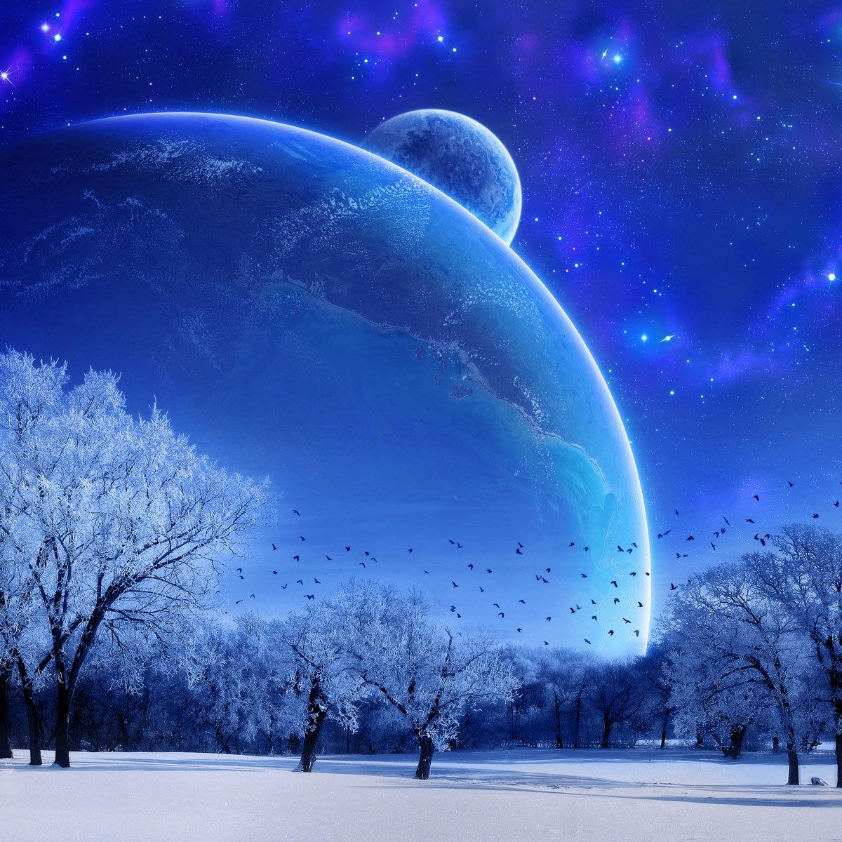 cameer (tyul2.lens) Lens social identity (.lens handle) PFP