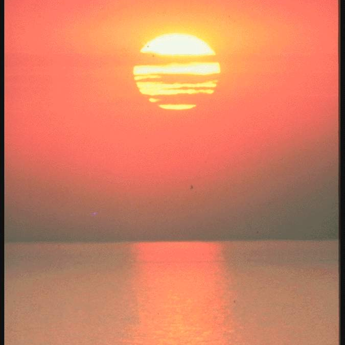 Taylor (malyone2.lens) Lens social identity (.lens handle) PFP