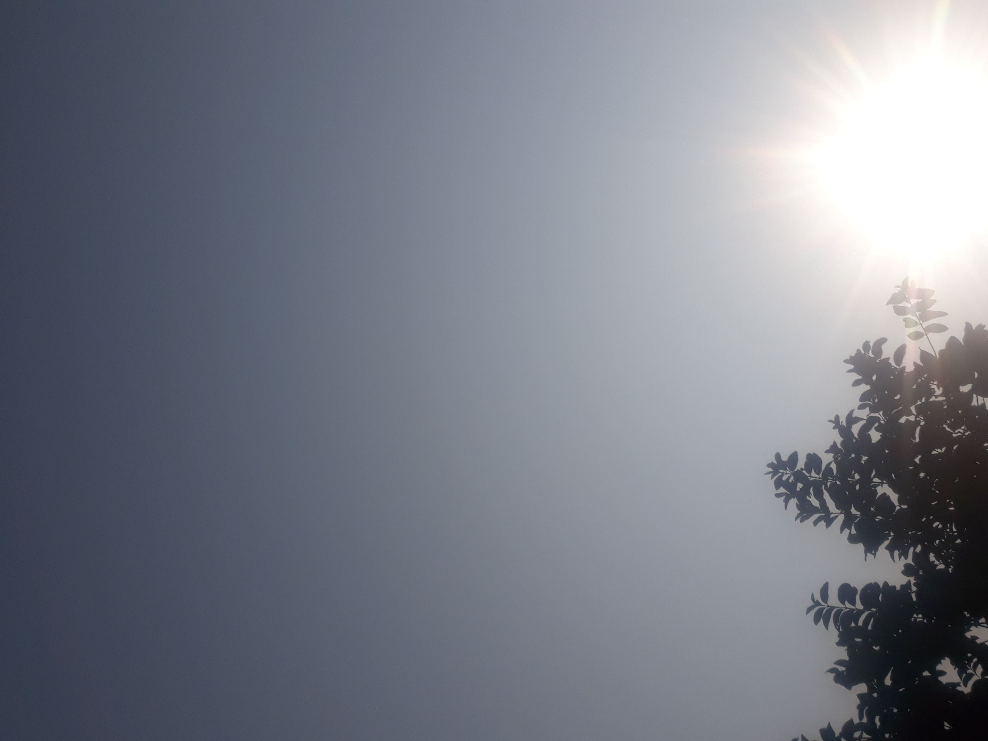 bullman.lens Lens social identity (.lens handle) PFP