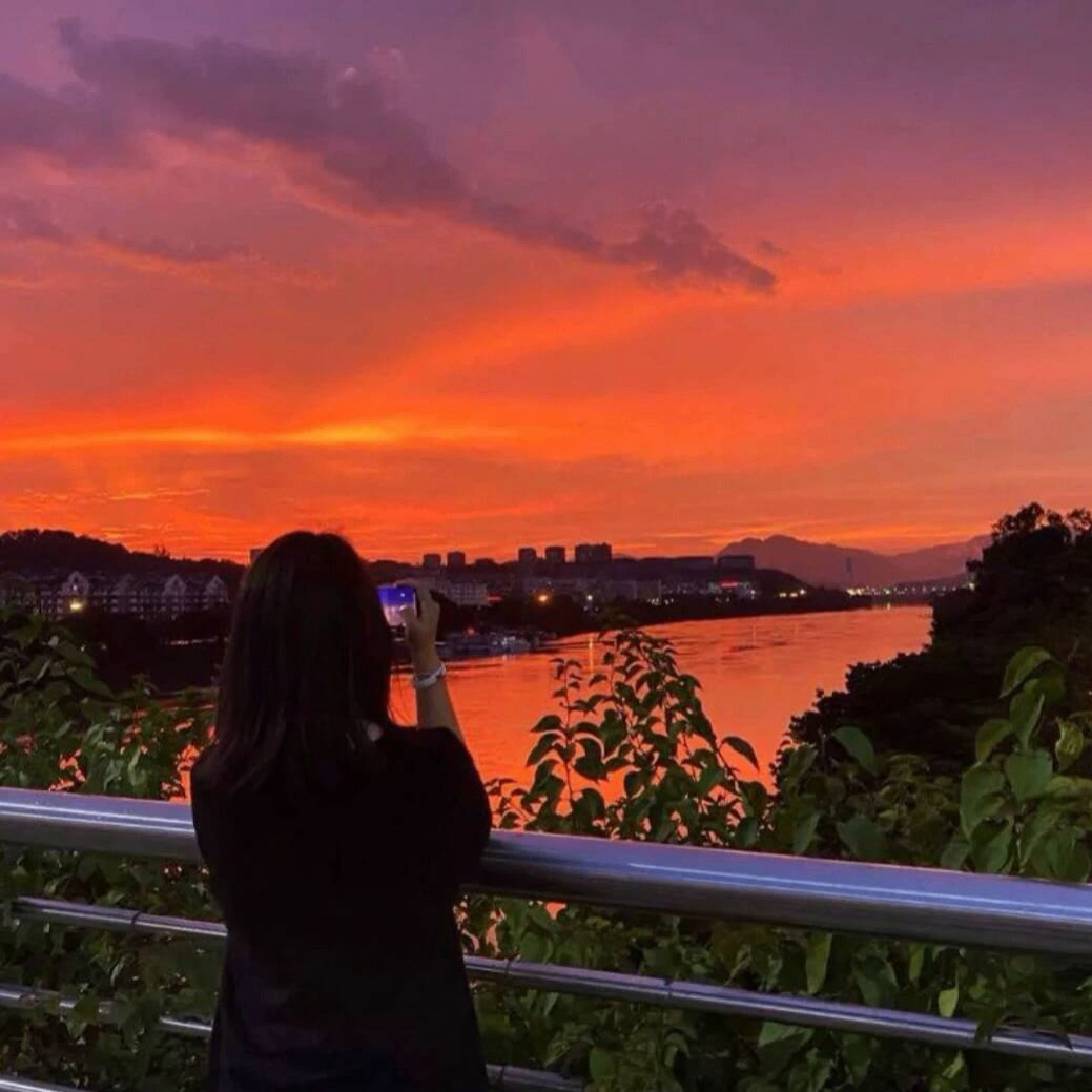 whatevery (whatevery.lens) Lens social identity (.lens handle) PFP