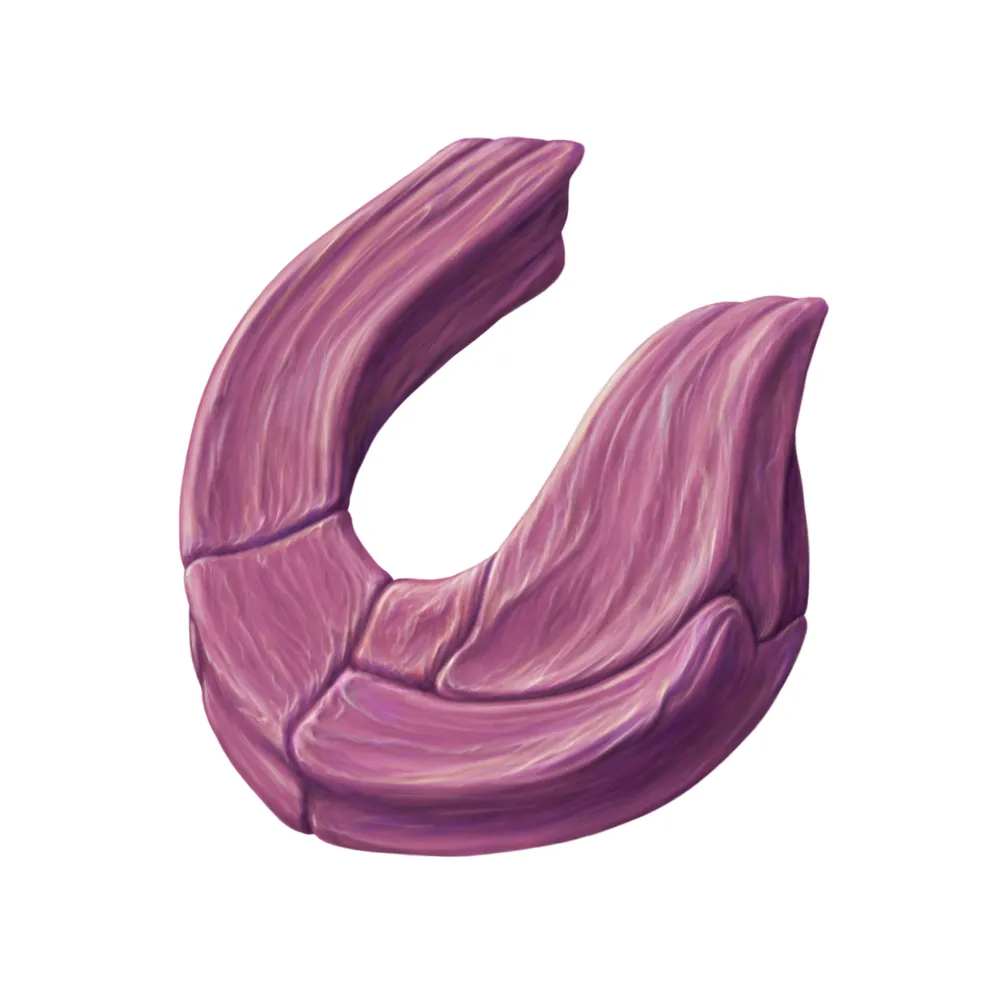 SilverSparrow (yineai.lens) Lens social identity (.lens handle) PFP