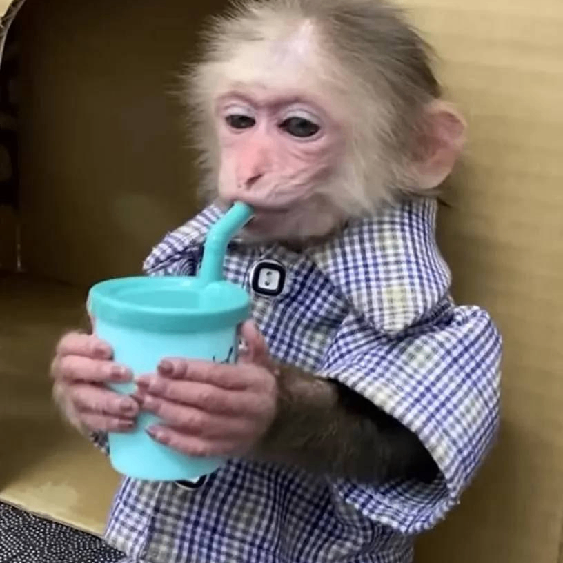 W1sp23 (w1sperrr23.lens) Lens social identity (.lens handle) PFP