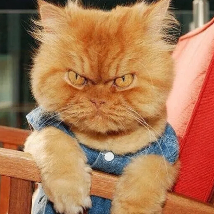 octavianora (octavianora.lens) Lens social identity (.lens handle) PFP