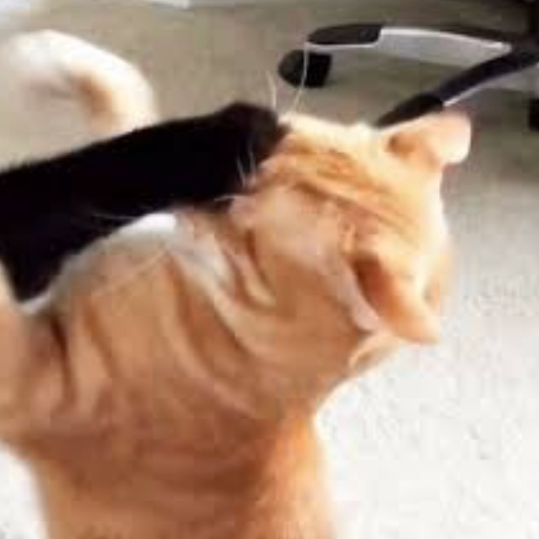 dsadwq (rdddd.lens) Lens social identity (.lens handle) PFP