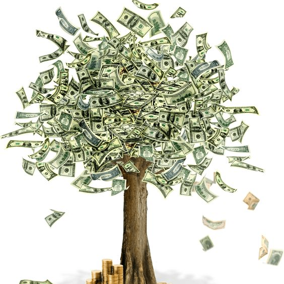 LENSTREE (jennife38737920.lens) Lens social identity (.lens handle) PFP