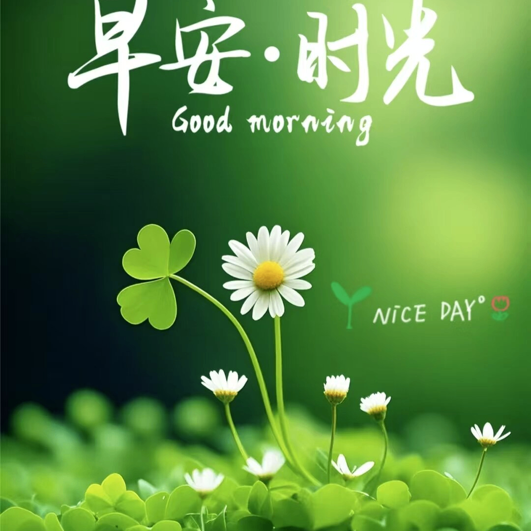 ytgjdw200 (ytgjdw200.lens) Lens social identity (.lens handle) PFP