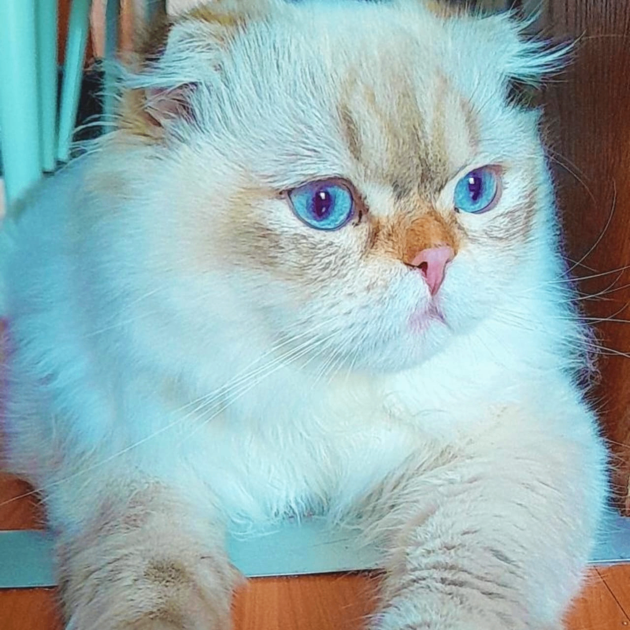 Fthtn79 (fthtn79.lens) Lens social identity (.lens handle) PFP