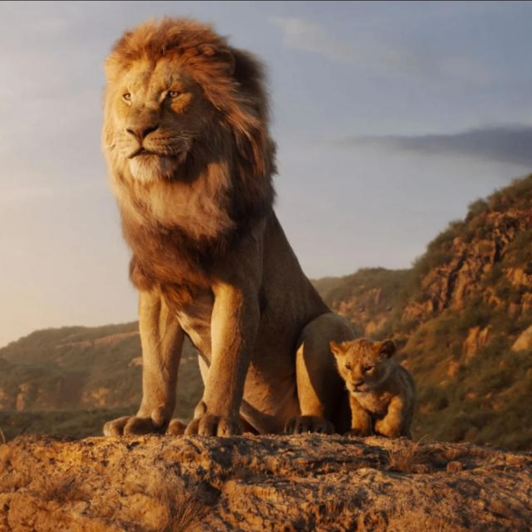 Aman Singh (kingsingh.lens) Lens social identity (.lens handle) PFP