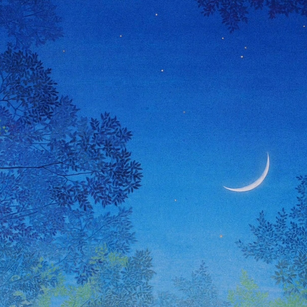 Sophia Claire Davis (paqiapuppy.lens) Lens social identity (.lens handle) PFP