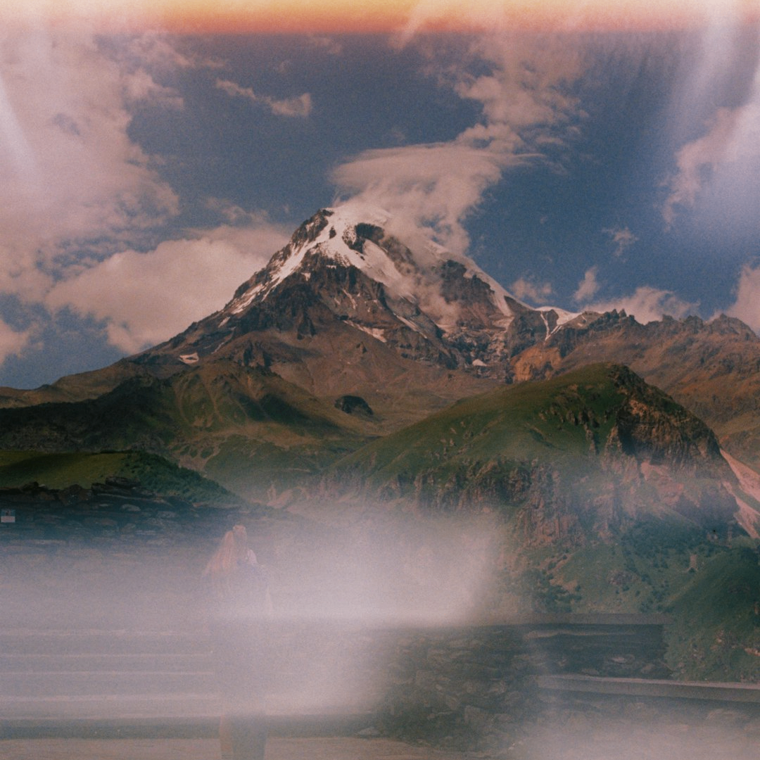 George (treenog.lens) Lens social identity (.lens handle) PFP