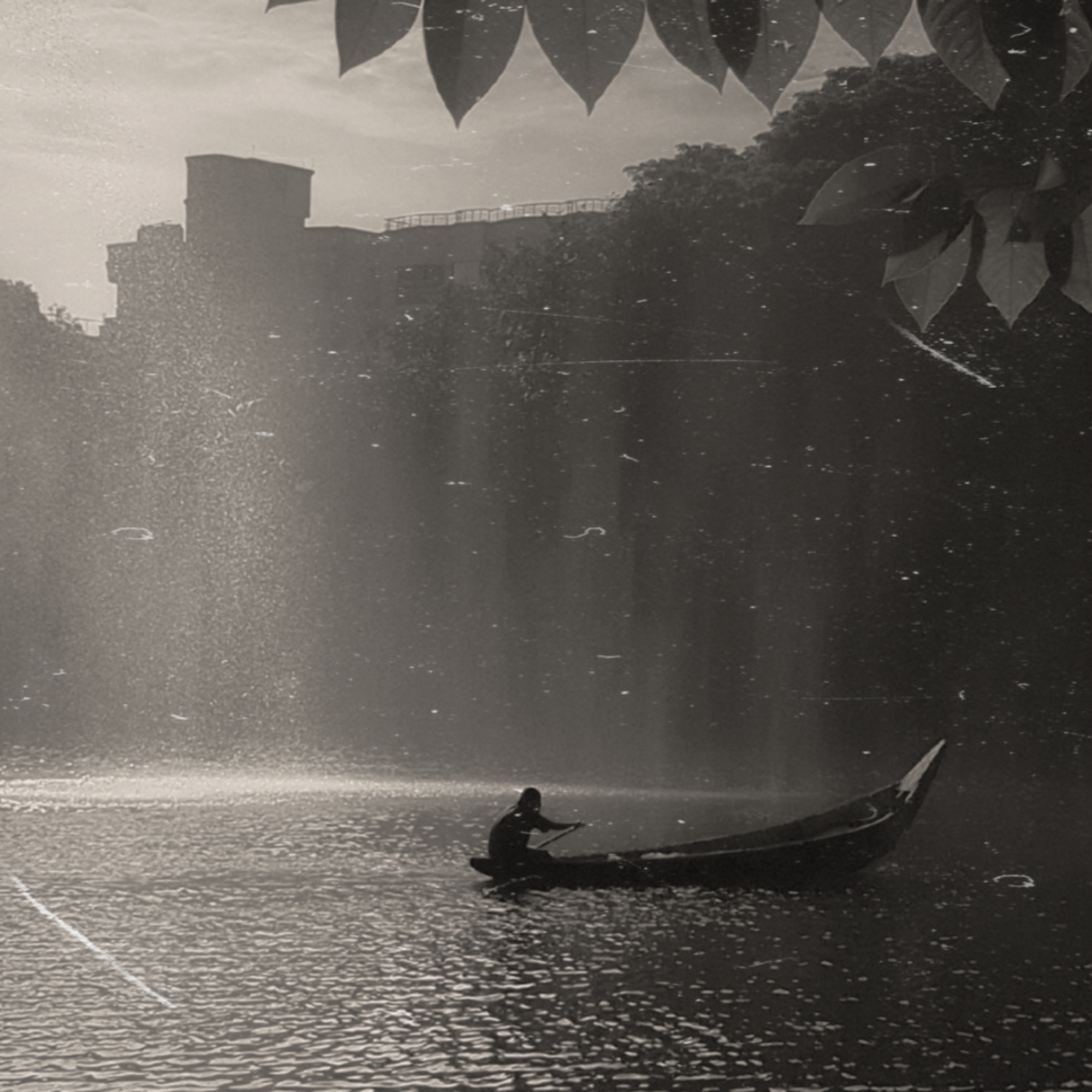 Moist Coco (moistcoco.lens) Lens social identity (.lens handle) PFP